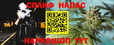 прущие грибы Краснознаменск