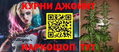 прущие грибы Краснознаменск