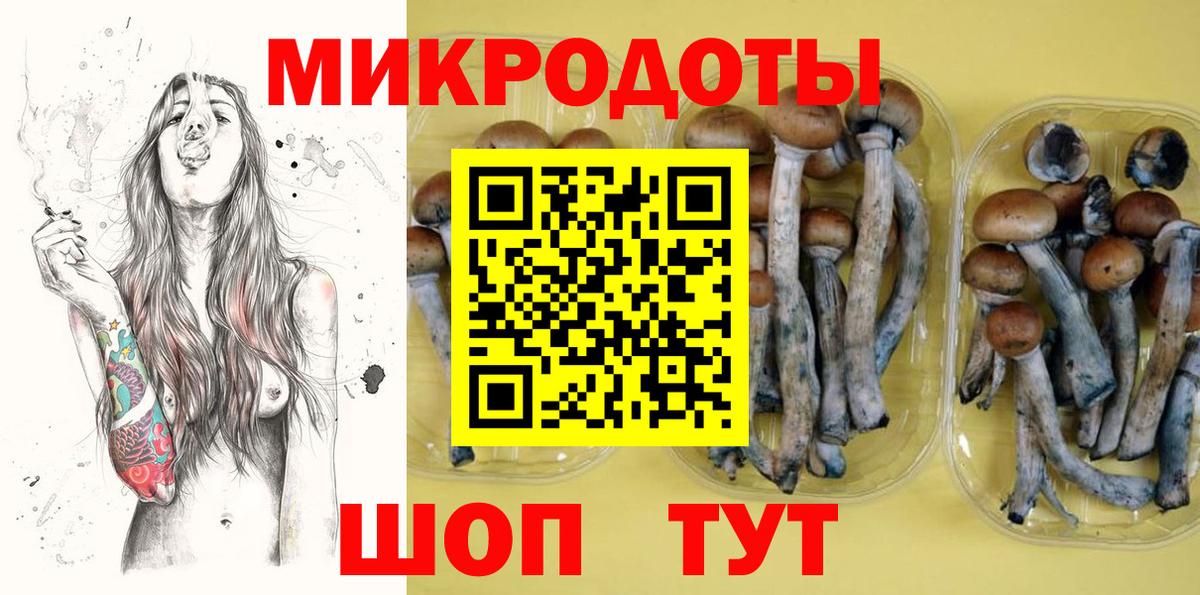 Среднеуральск  Псилоцибиновые грибы Magic Shrooms  Вход с VPN  Псилоцибиновые грибы Psilocybe 